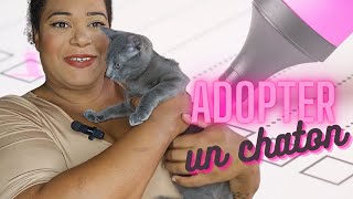 Comment adopter un chaton [upl. by Ynnub]