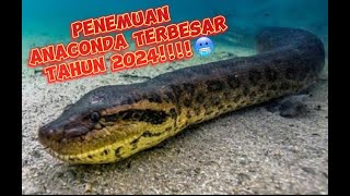 VIRAL TERBARU‼️PENEMUAN ULAR ANACONDA TERBESAR DIDUNIA TAHUN2024😨😨‼️‼️ [upl. by Aurie]