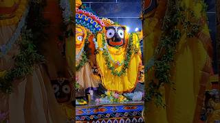 Kalia Heijiba Kale Tikie Gora🙏💕 New Odia Jagannath Status shorts odiastatus ytshorts [upl. by Naerda]