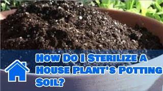 Indoor Gardening Tips  How Do I Sterilize a House Plants Potting Soil [upl. by Eustatius]