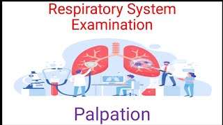 Respiratory system Examination  Palpation [upl. by Idnyc]