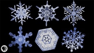 The Science of Snowflakes [upl. by Horick]