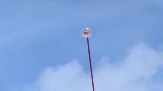 Len Lye sculpture  Wind Wand  Gibbs Farm NZ [upl. by Mari]