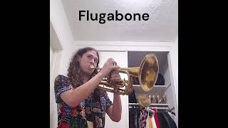 Bass Trumpet Flugabone and Trombone Whats the Difference [upl. by Wolliw65]