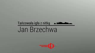 Jan Brzechwa  Tańcowała igła z nitką  Czytanki dla dzieci  Bajki czytane [upl. by Morgenthaler450]