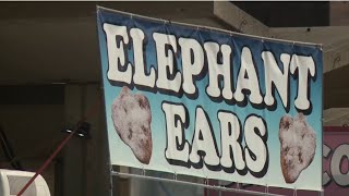 Fried food and fun with WLKY at the 120th Kentucky State Fair [upl. by Johns]