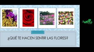 Flores de Bach y la medicina vibracional [upl. by Arfihs]