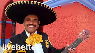 Mexican Music Instrumental Traditional Music From Mexico  Mariachi Guitar Trumpet [upl. by Nettirb]