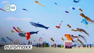 Biggest Kite Festival in Europe  Up in the Air in BercksurMer France [upl. by Amadus717]