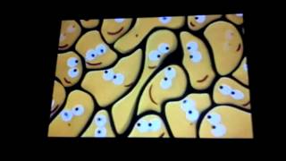 Cbeebies Crowd Ident [upl. by Ecirtnuahs]