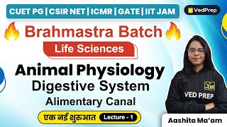 Animal Physiology  Life Sciences  CUET PG  CSIR NET  GATE  IIT JAM  VedPrep Biology Academy [upl. by Jeconiah]