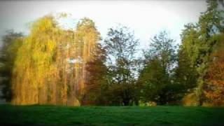 Geuldal natuur en muziek [upl. by Yecies]