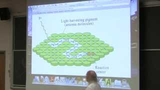 34 Biochemistry Lecture Photosynthesis from Kevin Aherns BB 350 [upl. by Adiuqal467]