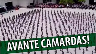 Avante Camaradas [upl. by Mufinella]