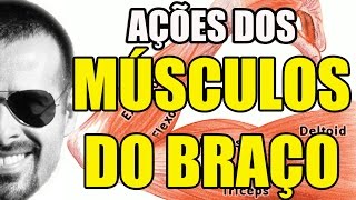 Vídeo Aula 108  Anatomia Humana  Sistema Muscular Ações dos Músculos do Braço [upl. by Hnamik586]