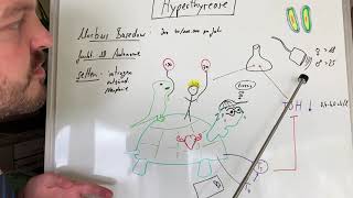 Hyperthyreose  Schilddrüsenüberfunktion [upl. by Oker]