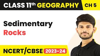 Sedimentary Rocks  Minerals And Rocks  Class 11 Geography [upl. by Soalokin]