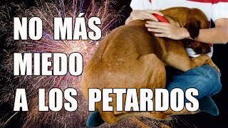 4 Trucos para Eliminar el MIEDO de tu perro a los PETARDOS a Largo y Corto Plazo [upl. by Godred]