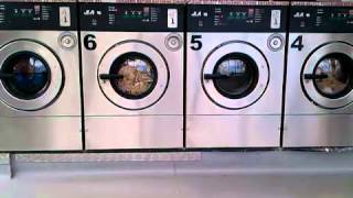 JLA IPSO Laundrette Washing Machines  4 in a Row [upl. by Dreda]