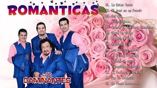 LOS CAMINANTES 30 GRANDES ÉXITOS INOLVIDABLES  LOS CAMINANTES SUS MEJORES CANCIONES [upl. by Rolo]