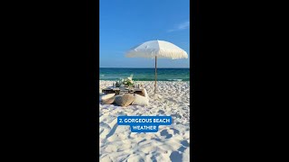 4 Reasons to Visit Pensacola in the Spring [upl. by Ahsiemat]