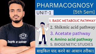 Shikmic acid pathway [upl. by Ihtraa205]