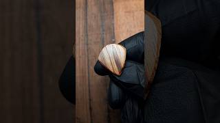 Zebrawood JazzIII ErgOz completed guitarpick luthier plectrum handcrafted exoticwood wooden [upl. by Aisset491]