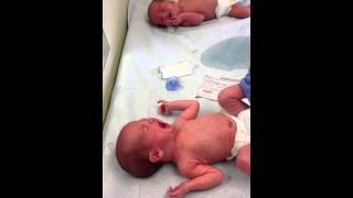 Newborn Twin Boys Cry [upl. by Bernardina851]