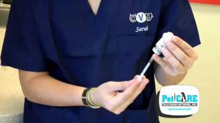 How to Give your Pet Injections [upl. by Schuh]