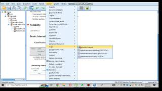 Cronbachs alpha test in SPSS  Pilot study  Reliability analysis in SPSS [upl. by Priestley]