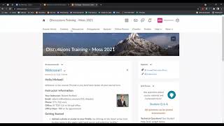 New Discussion Experience in D2L Brightspace [upl. by Trovillion363]