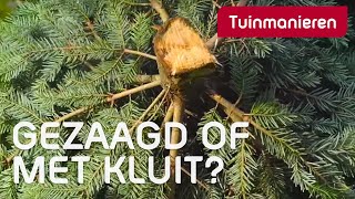 Kies je een gezaagde kerstboom of een boom met kluit  Kerst  Tuinmanieren [upl. by Nuarb]