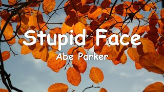 Abe Parker  Stupid Face「Lyrics Video」 [upl. by Warchaw]