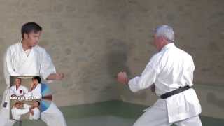 Karate Bunkai  JeanFrançois Tisseyre et Didier Lupo [upl. by Joel631]