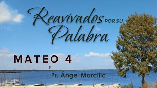 REAVIVADOS POR SU PALABRA MATEO 4 3 DE AGOSTO DEL 2024 [upl. by Ettennan384]