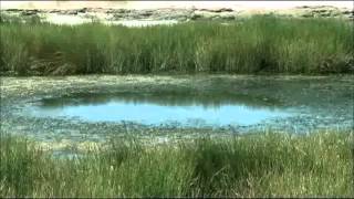 Australia Artesian Basin and Wells WMV [upl. by Aggri]