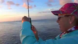 islamorada Channel 2 BridgePier Fishing [upl. by Sewellyn297]