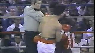 Azumah Nelson vs Wilfredo Gomez [upl. by Ielirol197]