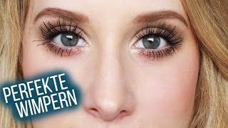 PERFEKTE amp VOLUMINÖSE WIMPERN  Meine Tipps amp Tricks I Maren Vivien [upl. by Anoiek]