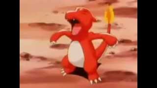 Ashs Charmeleon Evolves Into Charizard [upl. by Kalagher43]