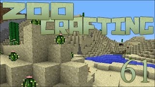 Hidden Desert Gems 🐘 Zoo Crafting Episode 61 [upl. by Cirtemed]