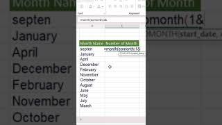 Numbers of Month in Excel ExcelTips ExcelTricks excel ExcelHacks Excel2024 learnexcel [upl. by Svensen]