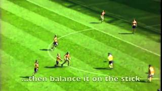 Hurling  The Fastest Game on Grass short version [upl. by Janetta]