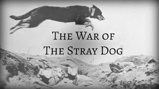 Welcome to Balkans That Time When A Stray Dog Ignited a War [upl. by Sinned]