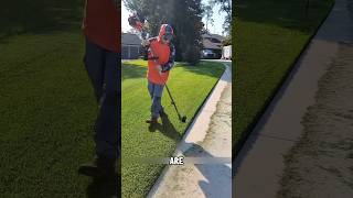 Mowing the lawn is a stressrelieving job shorts [upl. by Esinek]