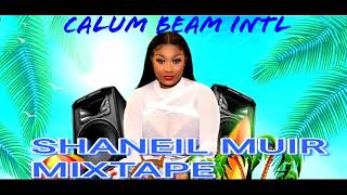 Shaneil Muir Mixtape 2022 Clean  Shaneil Muir Mix clean 2022 [upl. by Rediah906]