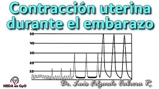 CONTRACCIÓN UTERINA ¿Sabes que ocurren durante todo el embarazo No solo durante el TRABAJO DE PARTO [upl. by Aroz]