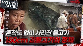 미스터리 노트 흔적도 없이 사라진 물고기 150cm 괴물고기의 정체｜미스터리노트 MBC980417방송 [upl. by Lin]