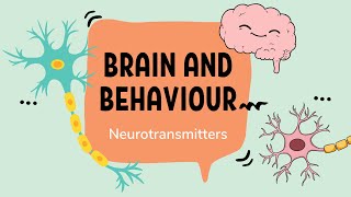 IB Psychology – Neurotransmission and Neurotransmitters [upl. by Tannenbaum502]