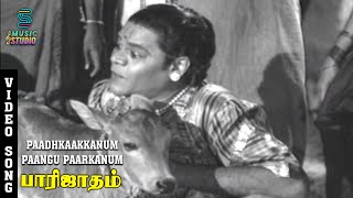 Paadhkaakkanum Paangu Paarkanum Video Song  Parijatham  TR Mahalingam MVRajamma  MusicStudio [upl. by Mather753]